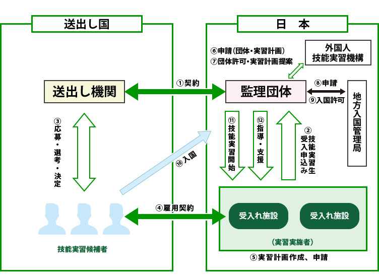 技能実習の流れ