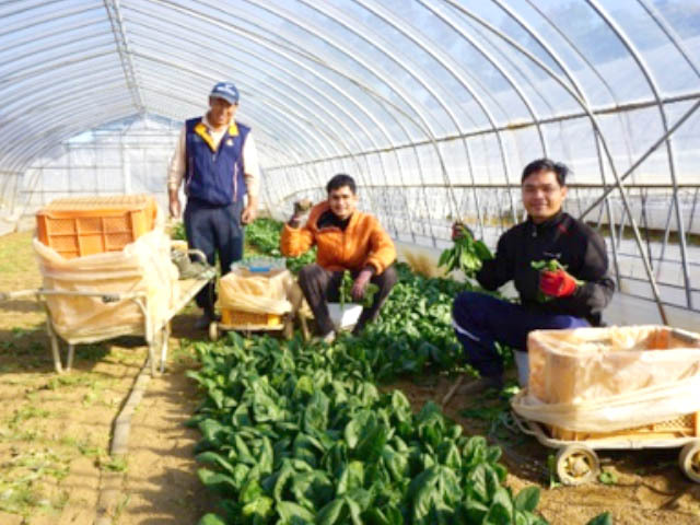 第1期3号技能実習生です